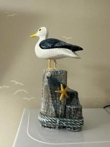 Чайкина дача - 6