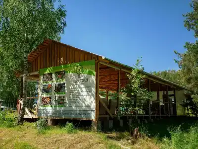 Берёзка - 16