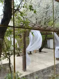 Васильевка - 71