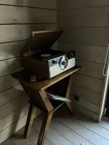 Betula - 75