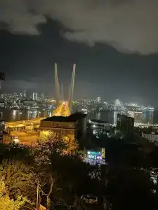 City View - 91