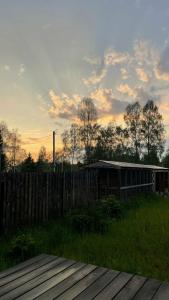 Forest life - 11