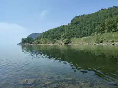Шумиха - 1