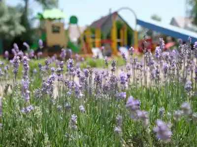 Русалочка - 27