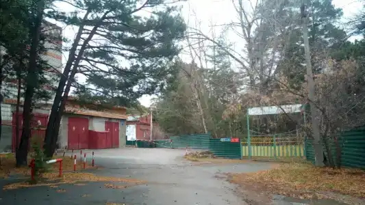 Ласточка - 0