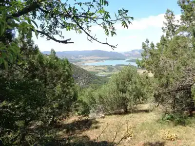 Скелепарк - 8