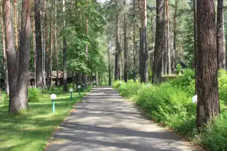 Каприз - 12