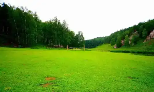 Ровесник - 12