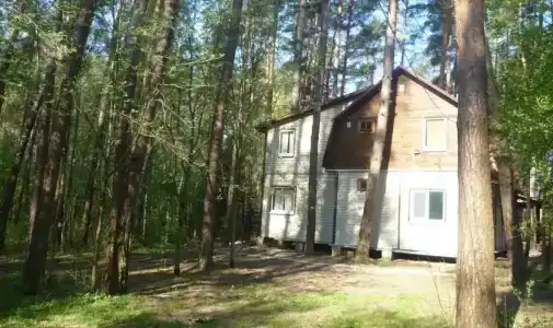 Янтарь - 5