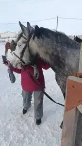 Золотая подкова - 3
