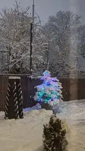 Шале Тихое место - 47