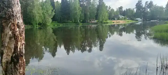 Зеленый Городок - 36