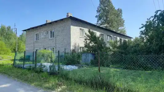 Milka - 1