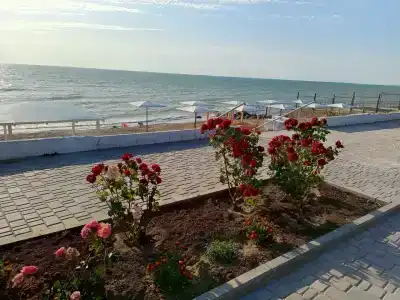 Дом друзей - 79