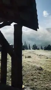 Братья Боровиковы - 3