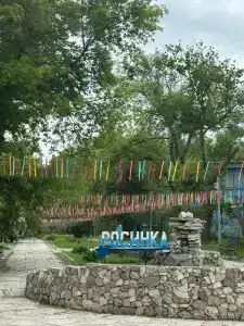 Росинка - 46