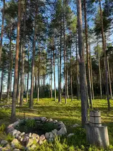 Частный дом с панорамными окнами - 39