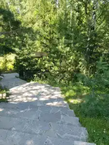 Магия леса - 12