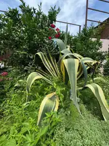 Дом Солнца - 59