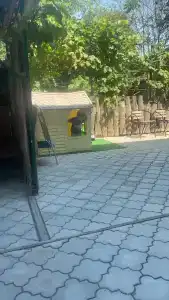Даша - 31