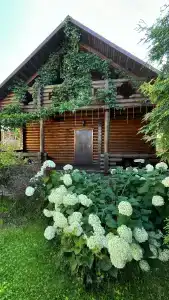 Атланта Шереметьево - 19