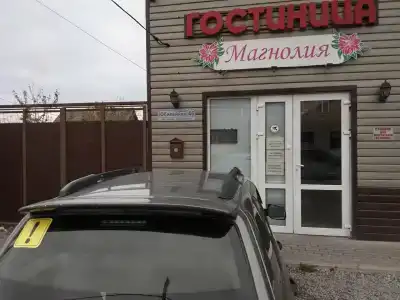 Магнолия - 19