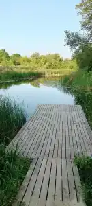 Романофф - 5