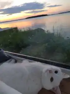 Гостевой дом - 58