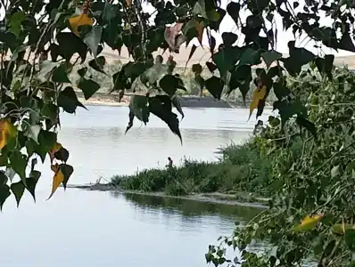 Сомовье Логово - 15