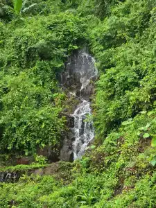 Sylvan Koh Chang - 23