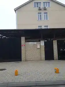 Кипарис - 26