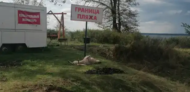 Отдыхаево - 44