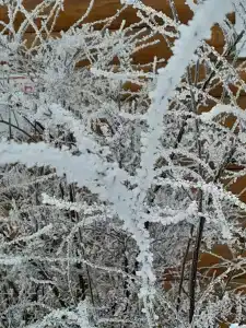 Усадьба помещика Гуляева - 64