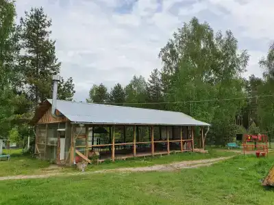 Берёзка - 21