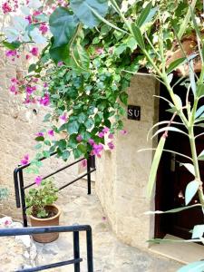 Club Barbarossa & Villas - 74