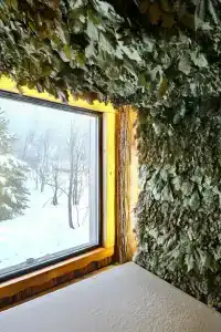 Полянка - Место встречи - 8
