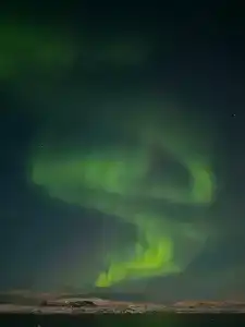 Cedar Grass Териберка - 27