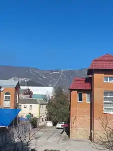 Абрикос Плюс - 25