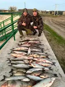 Рыбаградъ - 47