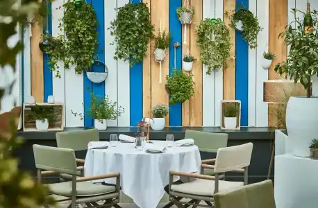 Hôtel Barrière Le Gray d'Albion - 99