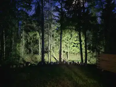 Тише - 24