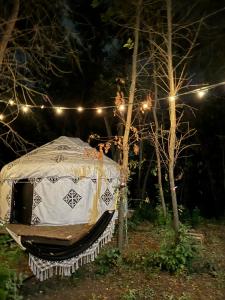 Юрта-парк на острове - 70