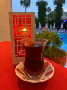 Pasha's Princess - Adult Only - 39