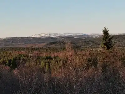 Арктик Хоум - 18