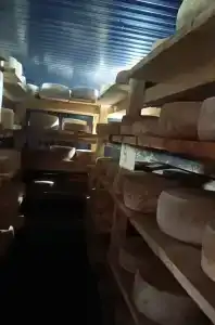 Деревня Сыроваров - 3
