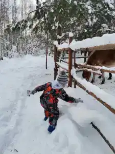 Круиз Вилладж - 32