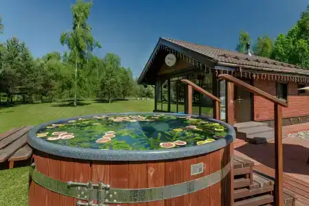 Дом Zarechye с русской баней и горячей купелью - 19