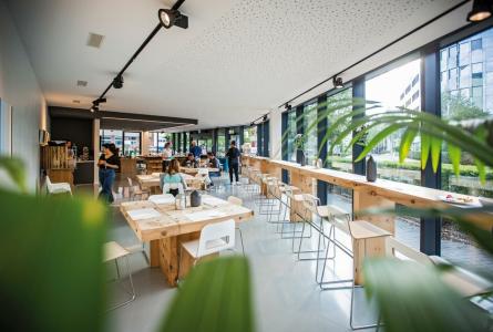 The Flag züRich - 50