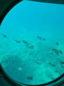 Stella Beach Resort & Spa, Makadi Bay - 56