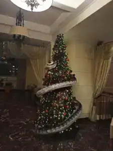 Горизонт - 45